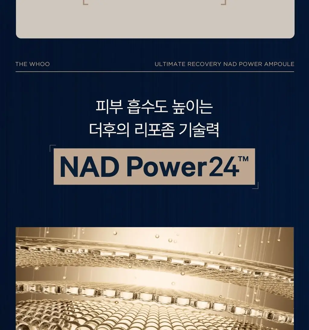 [NEW] 더후 비첩 자생 NAD 파워 앰풀 30ml/50ml 옵션 택 1 상세페이지 19
